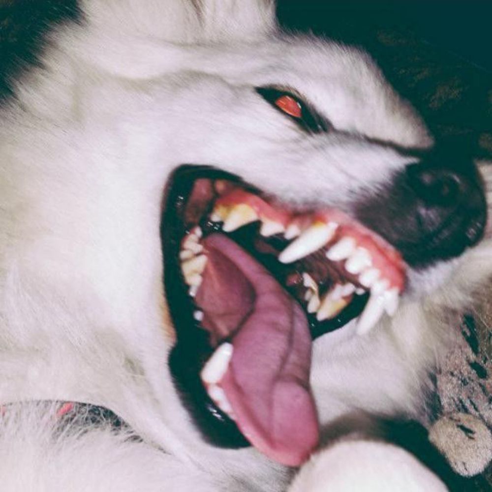 .$𝐜𝐫𝐢𝐦.