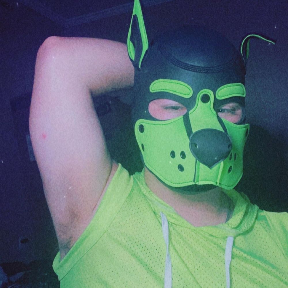 Pup Krypto
