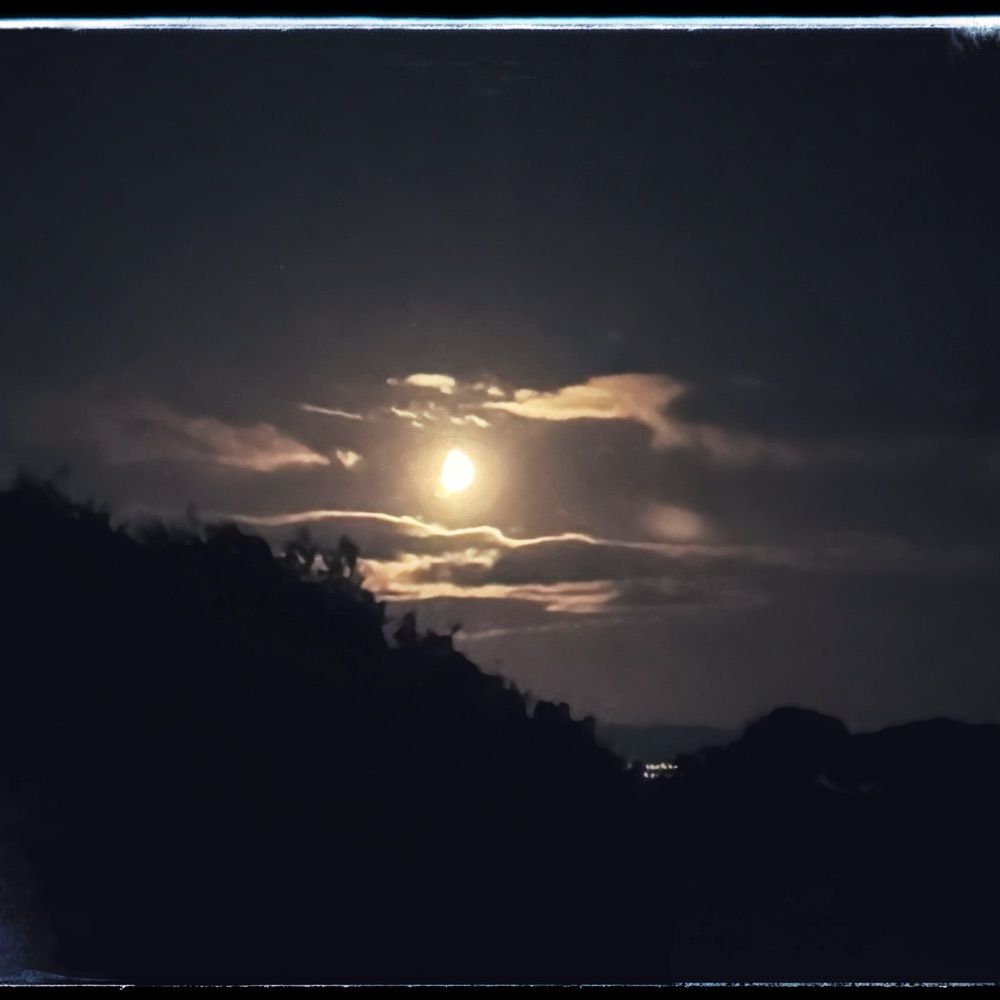Moondancer