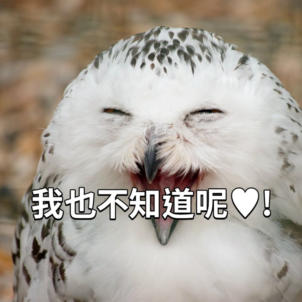 寒鳴