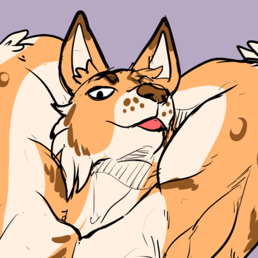 Rufus Lynx Cfz #784