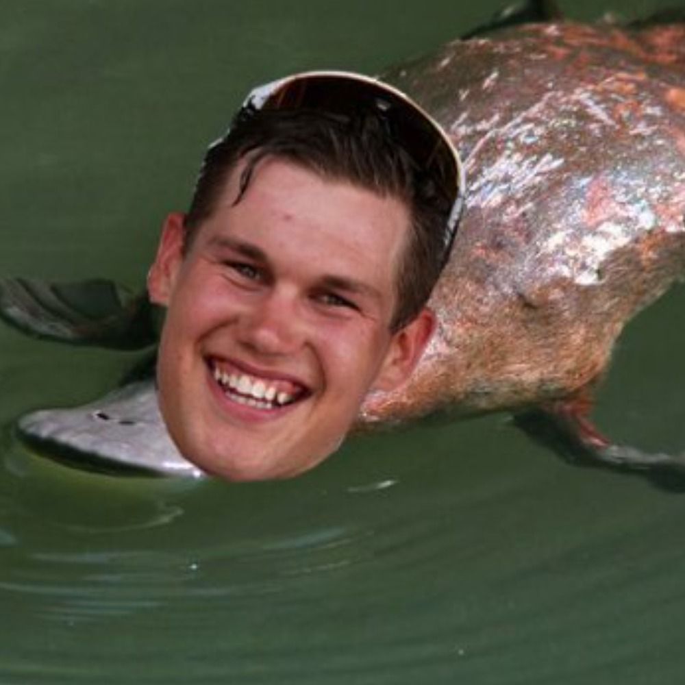 Plappy the happy platypus