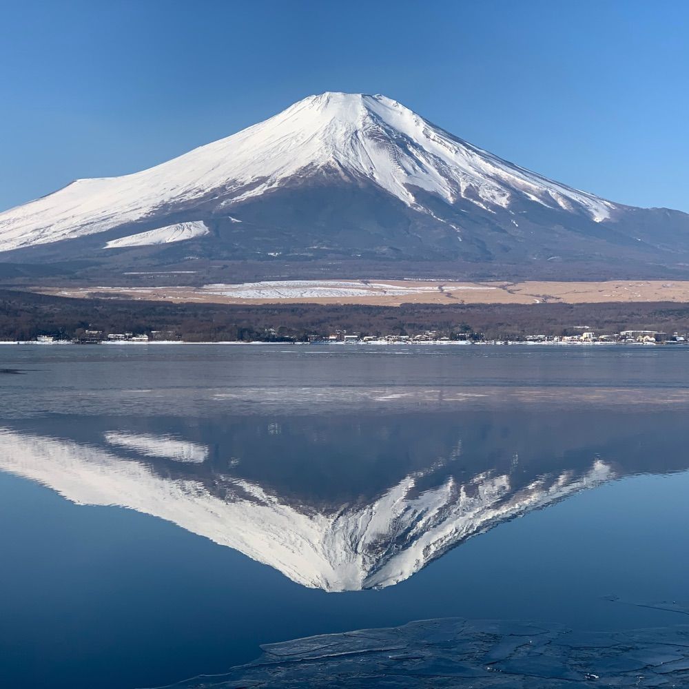 春待ち風