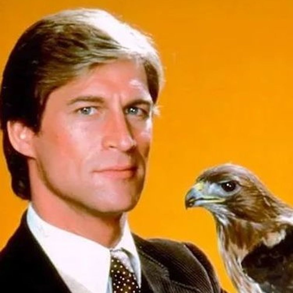 Steve Palace