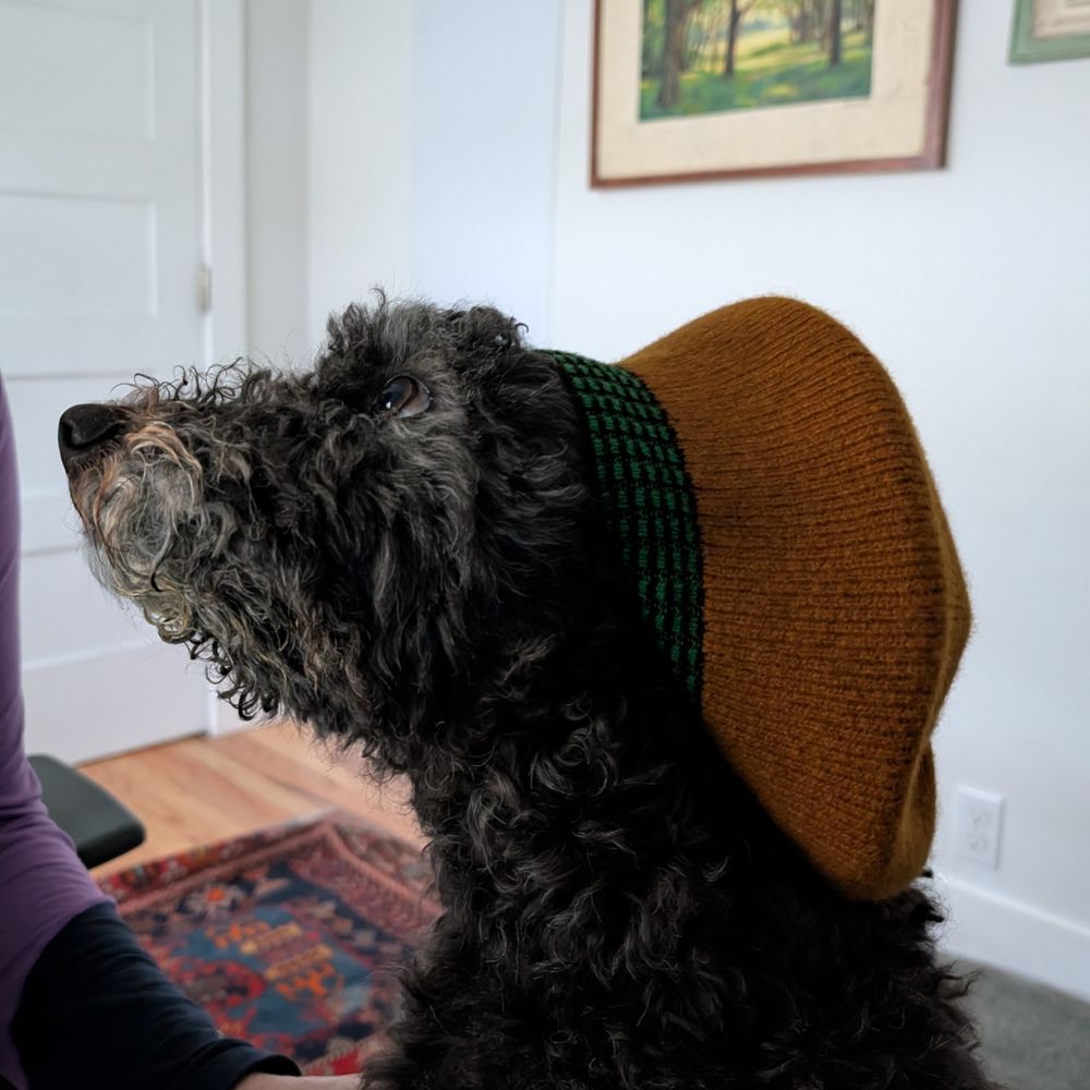 Ziggy Teufelhund