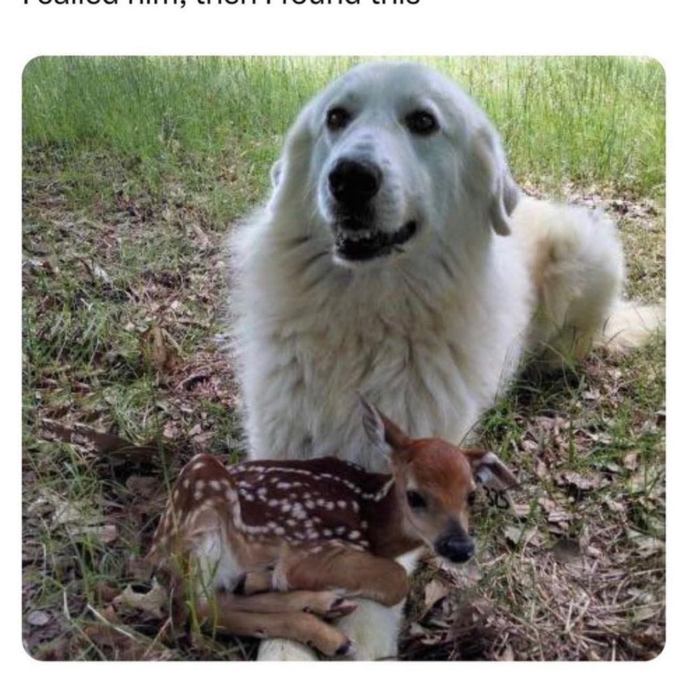 Eww 😥