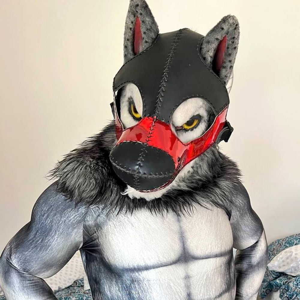 🐺🌶 Spicy Poblano Pupper🌶🐺