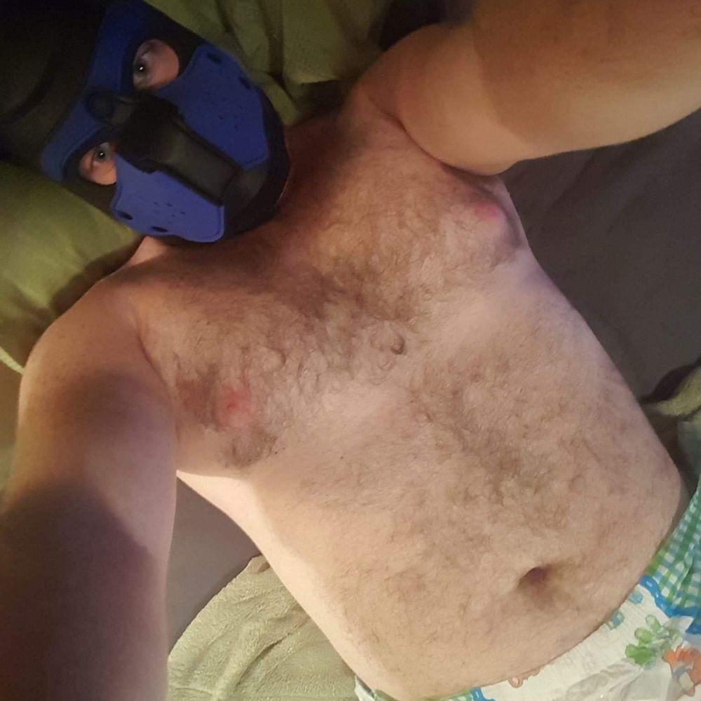 Pup Rainer
