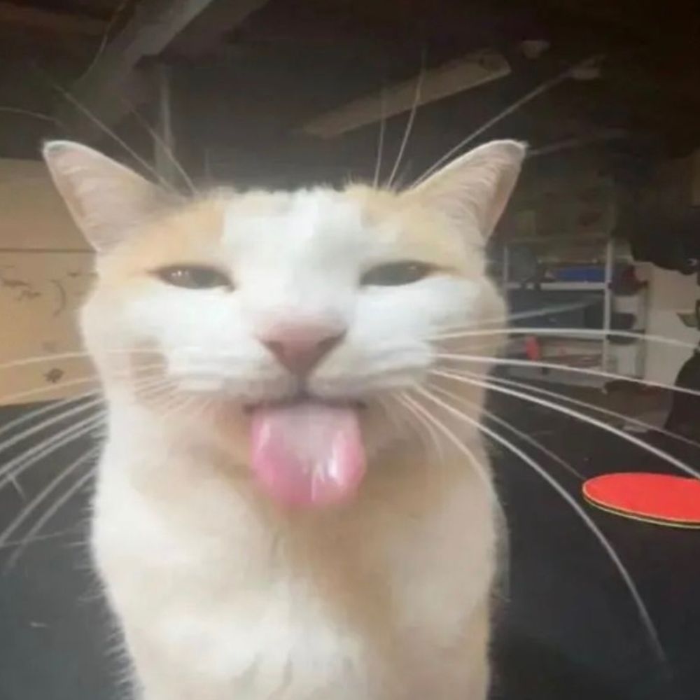 Neut