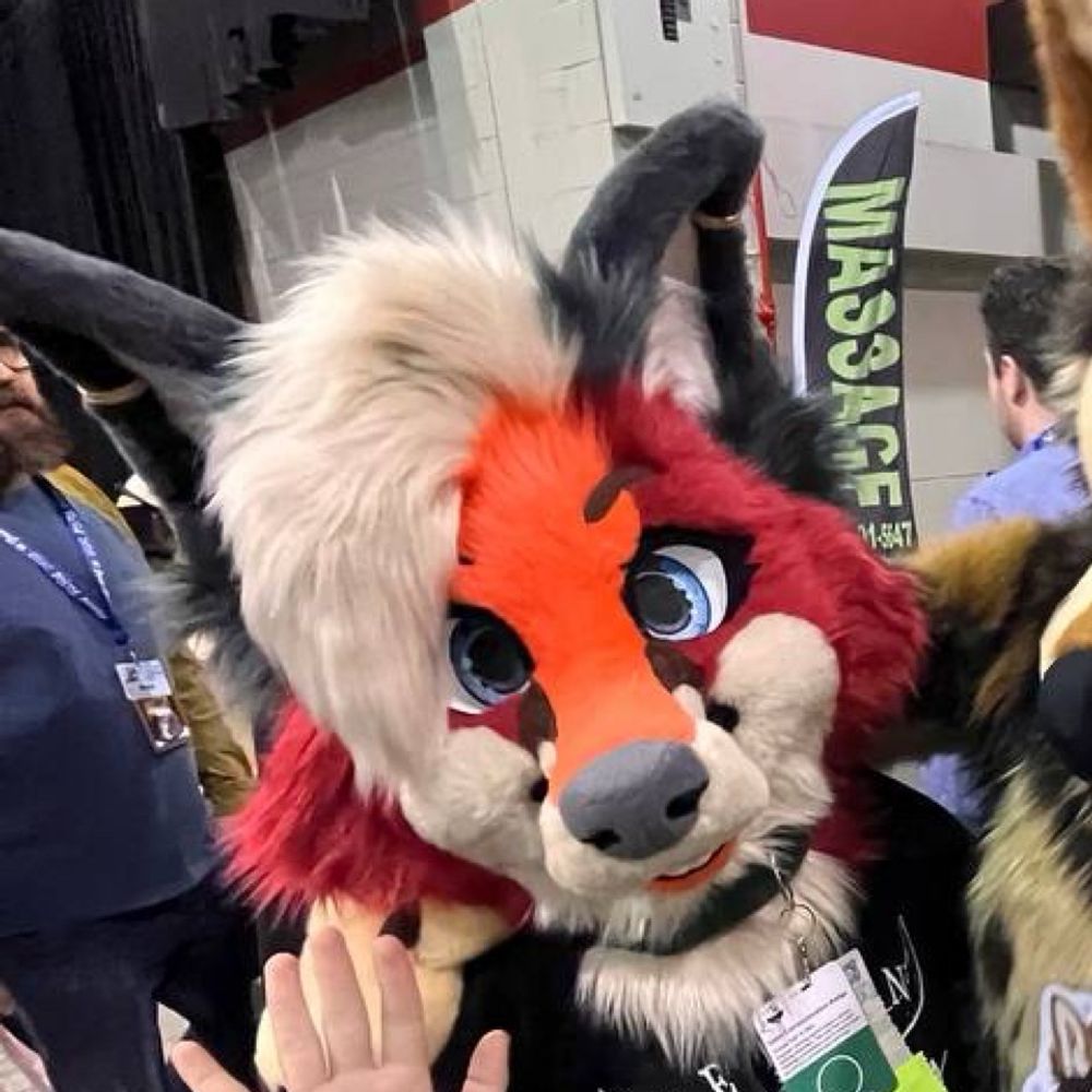 Jazz Fox 🦊