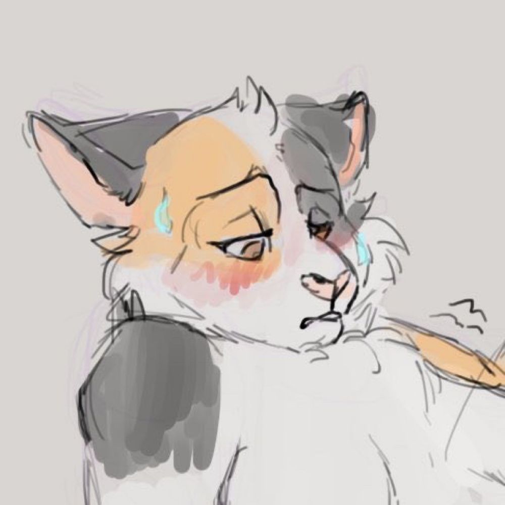 Little cat