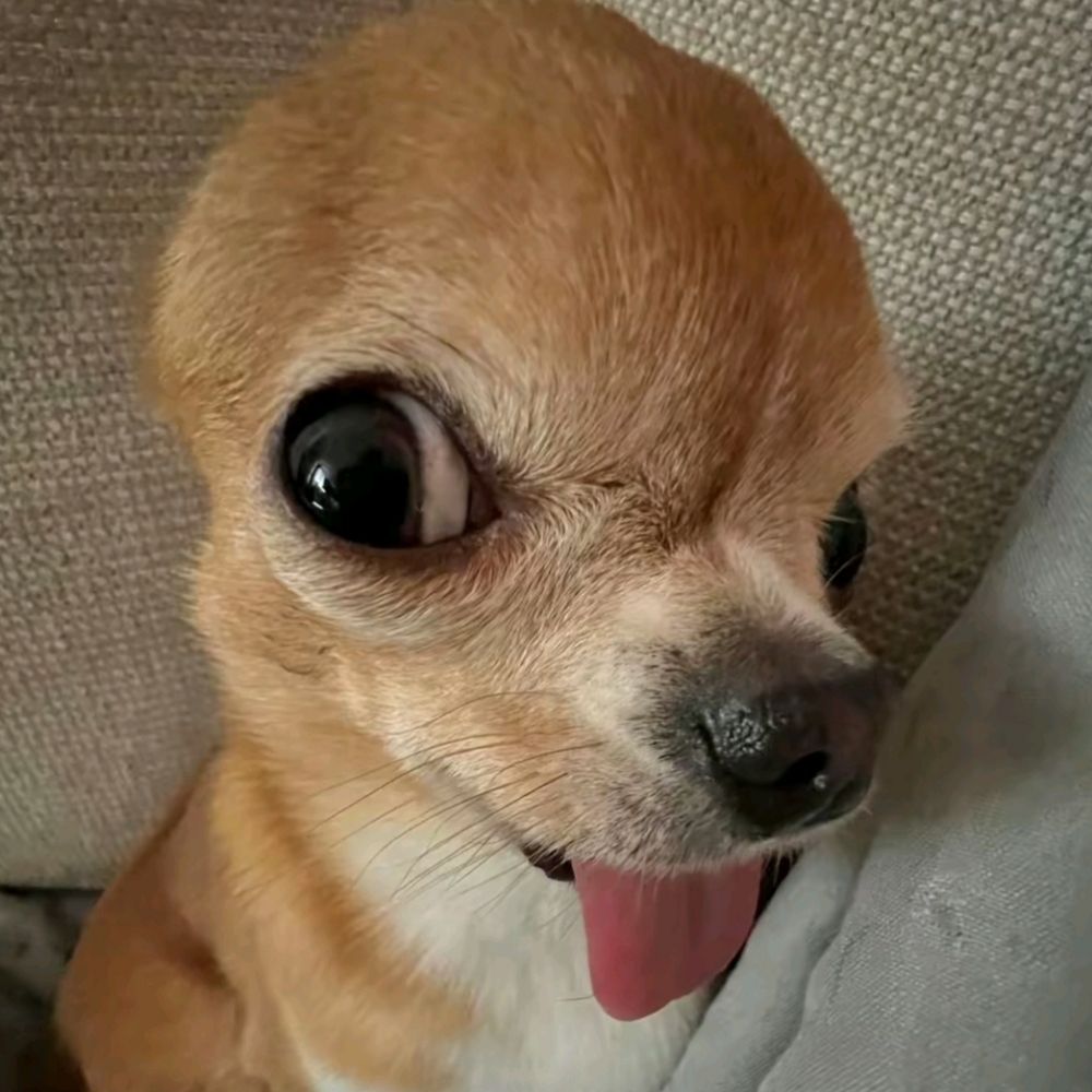 Van