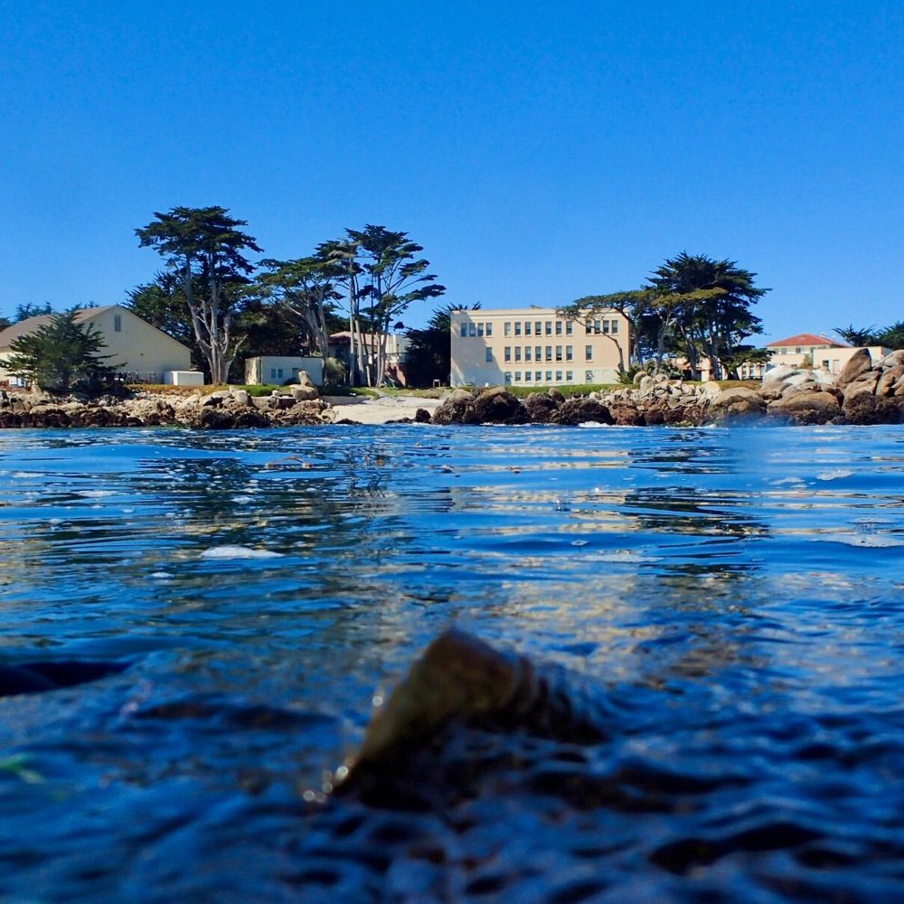 Hopkins Marine Station of Stanford University