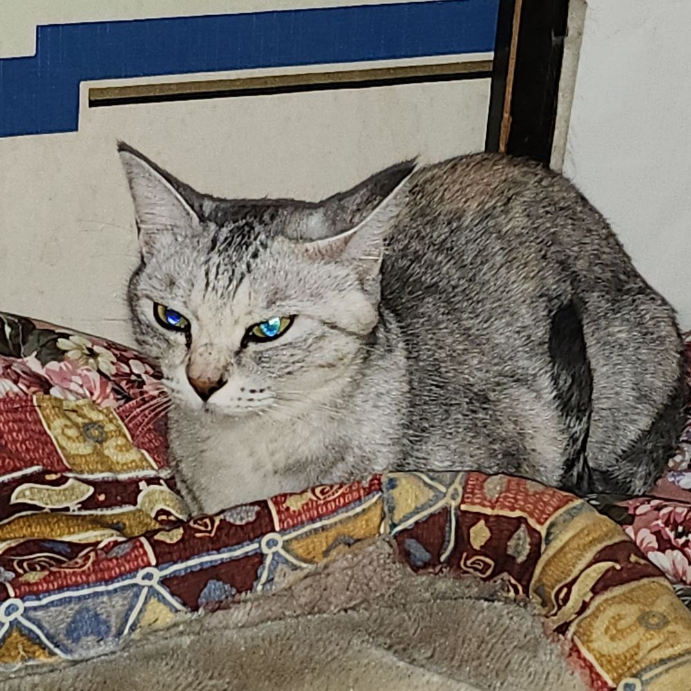 沼っち💙🐾