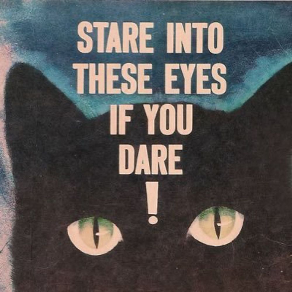 enbycreature.bsky.social profile picture