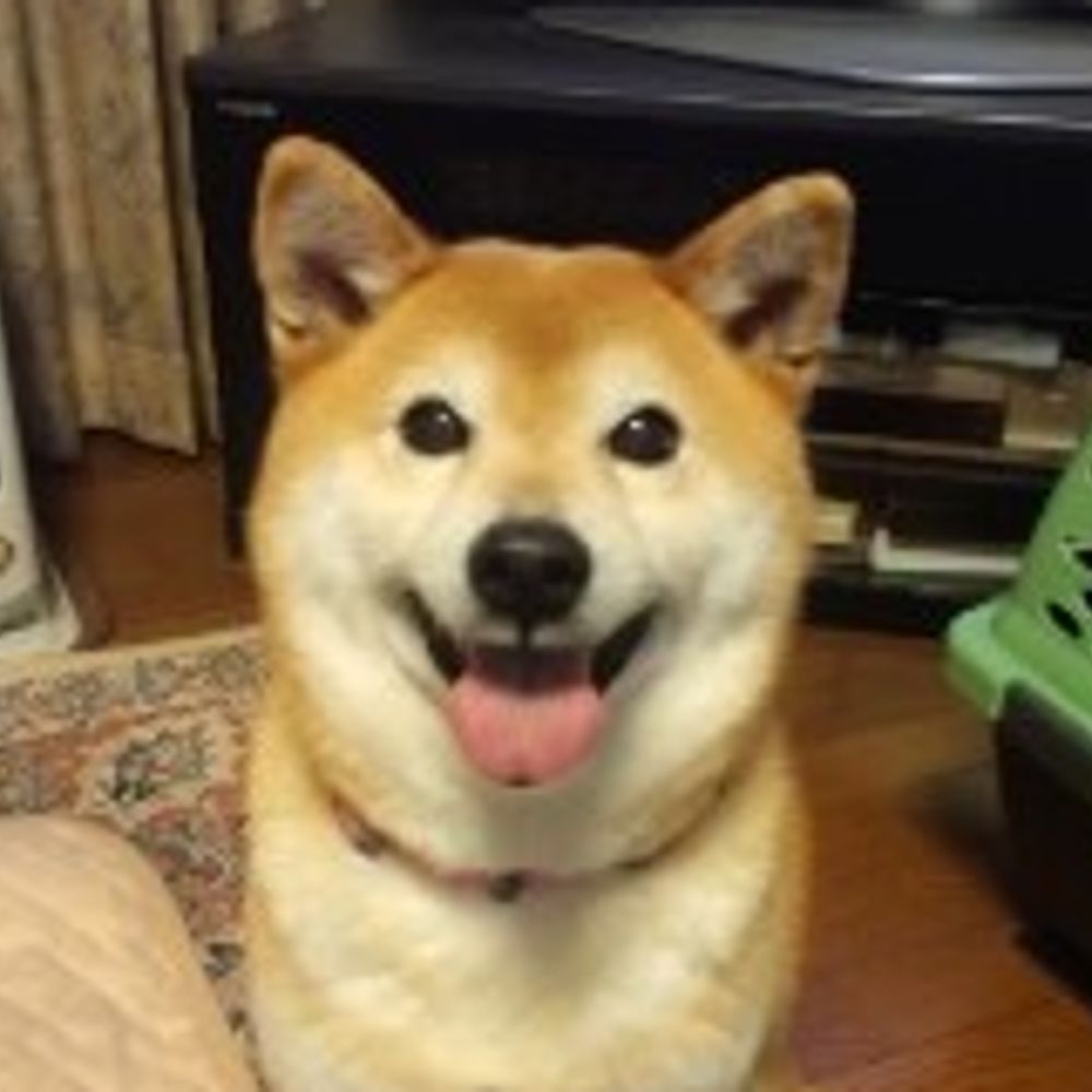 俺の晩飯
