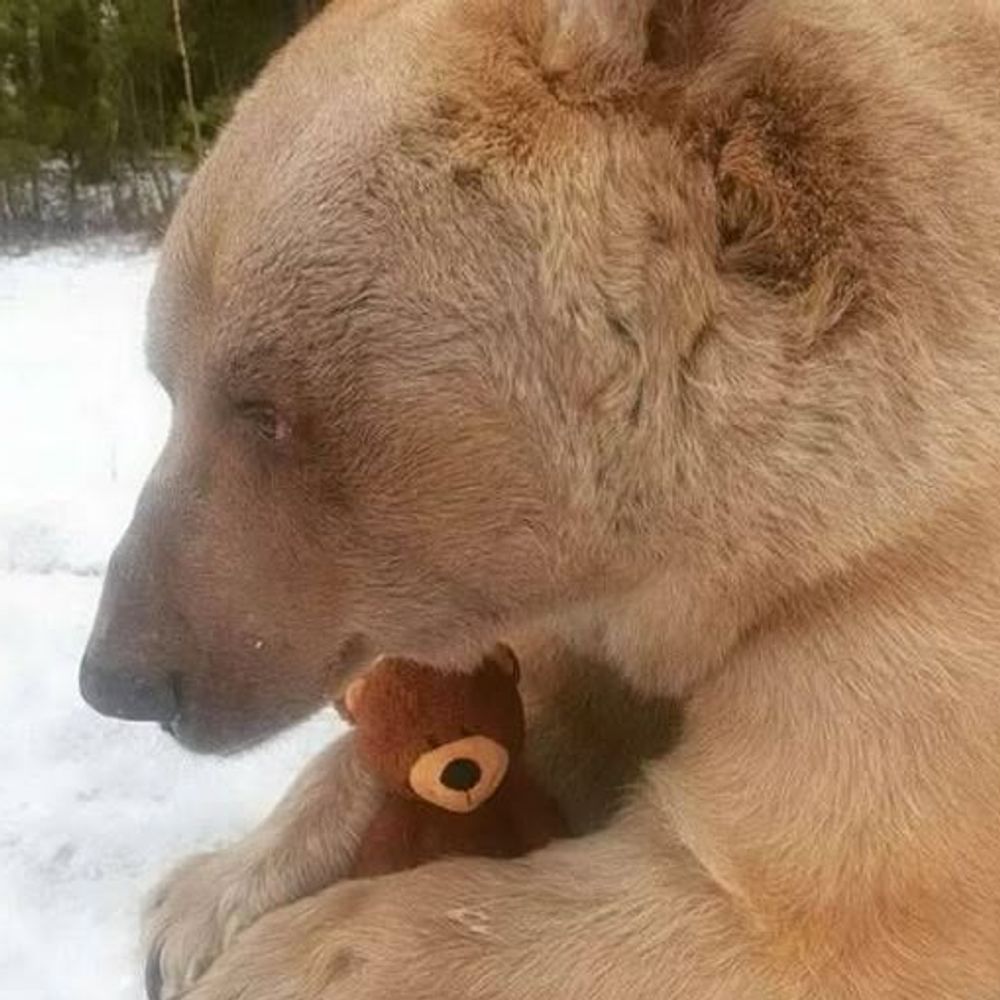 keara🐻