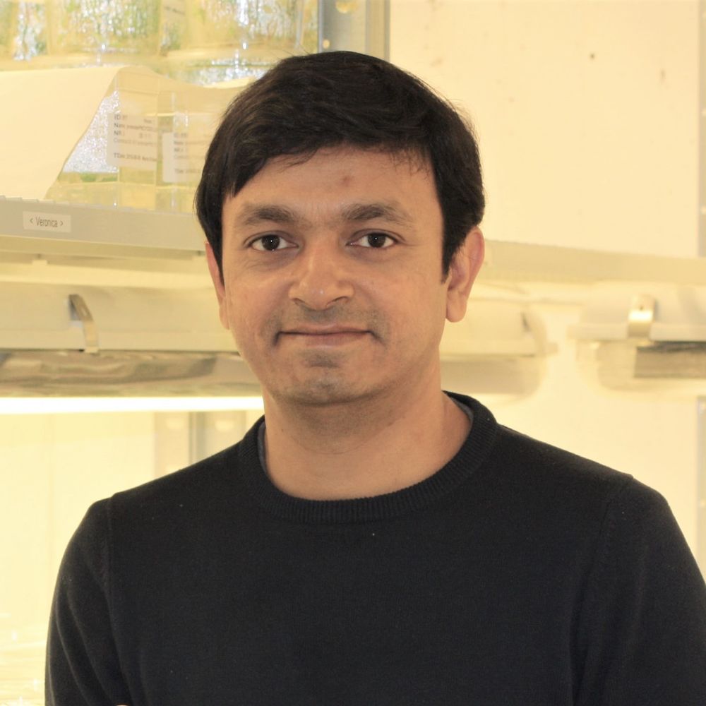 Jamil Chowdhury
