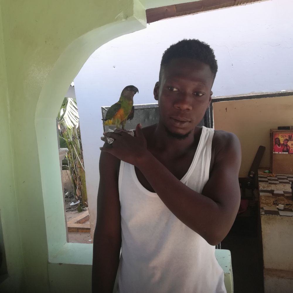 Sulayman Gassama