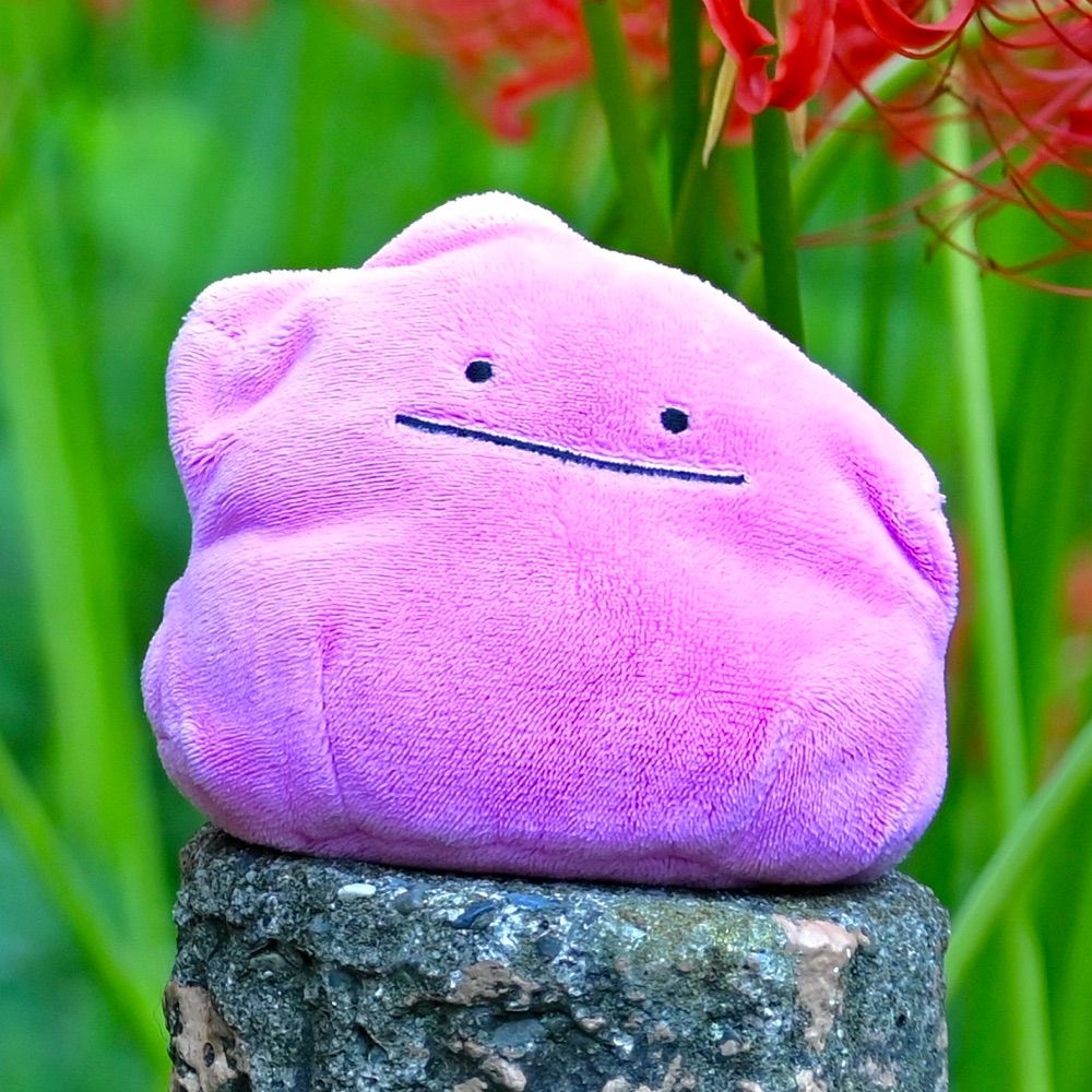 一華(いちか)