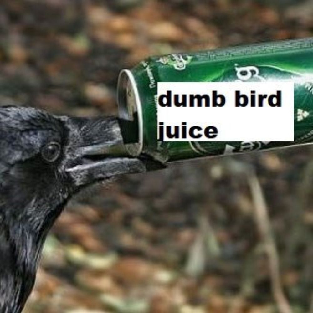 Warking Raven