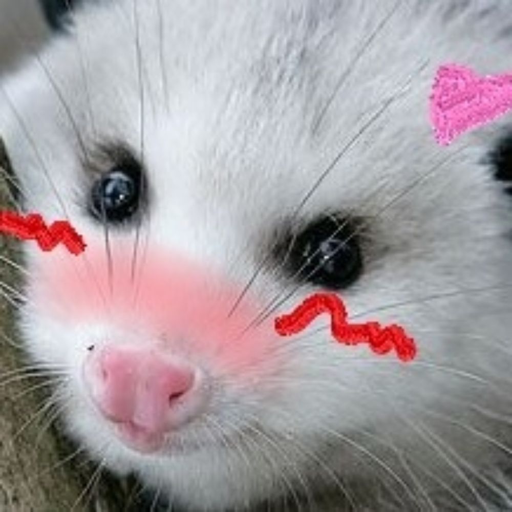 ManicPossumDreamDyke