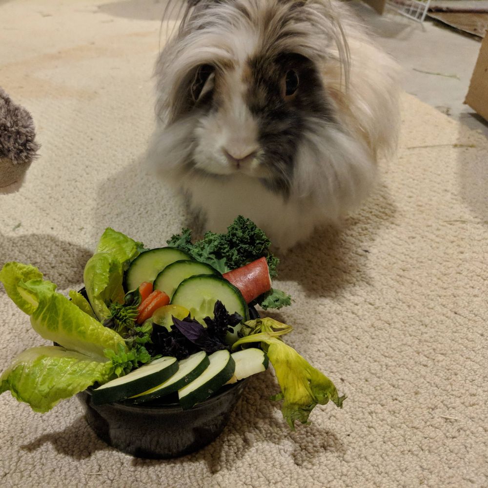 McFlufferton Laboratory