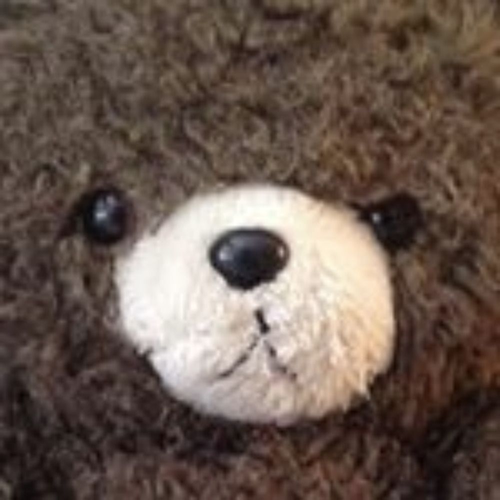 ror