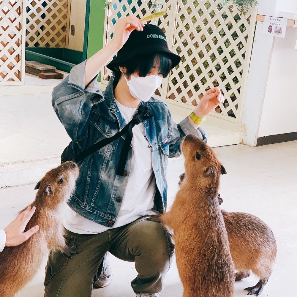 よんぴ