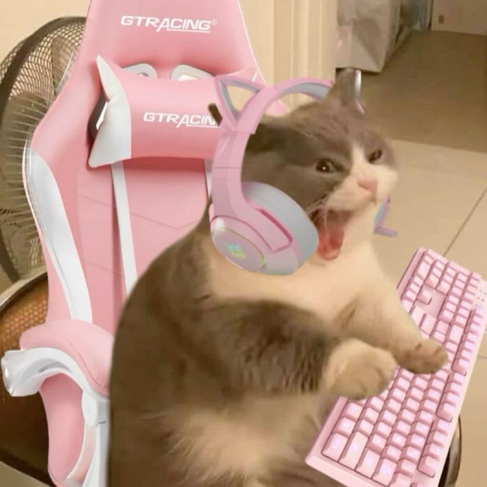 rena🐈‍⬛