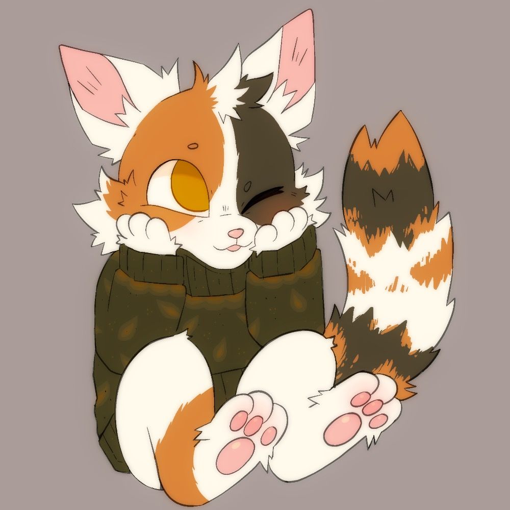 Local Spicy Kitty ΘΔ