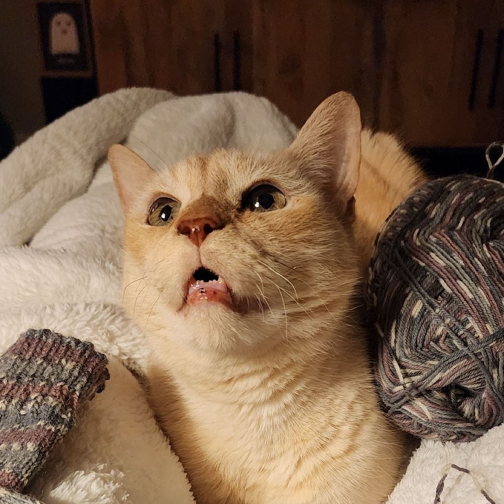Mel