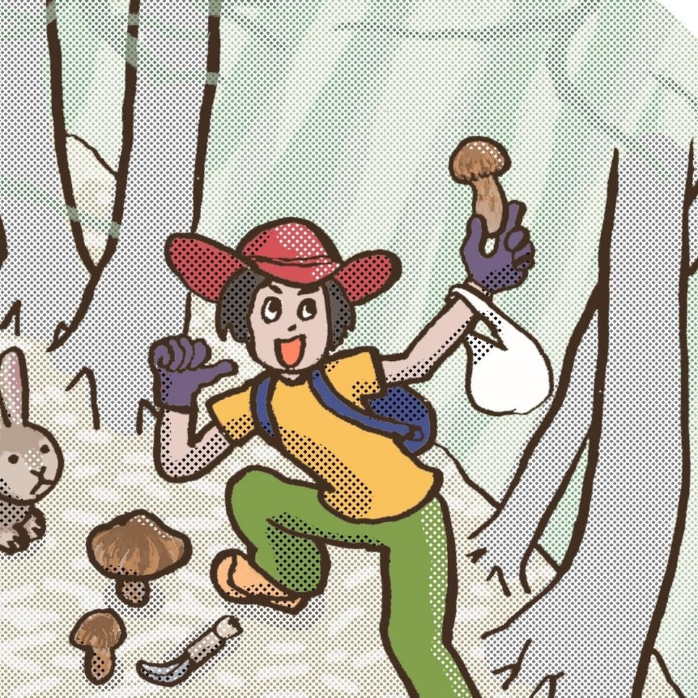 猫幸