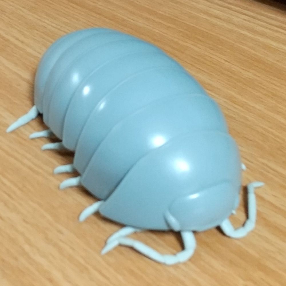 あべこべダンゴムシ