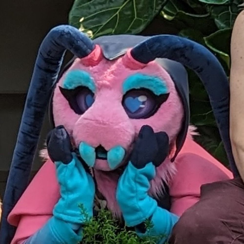 <vapor𝚁𝙾𝙰𝙲𝙷🌸>
