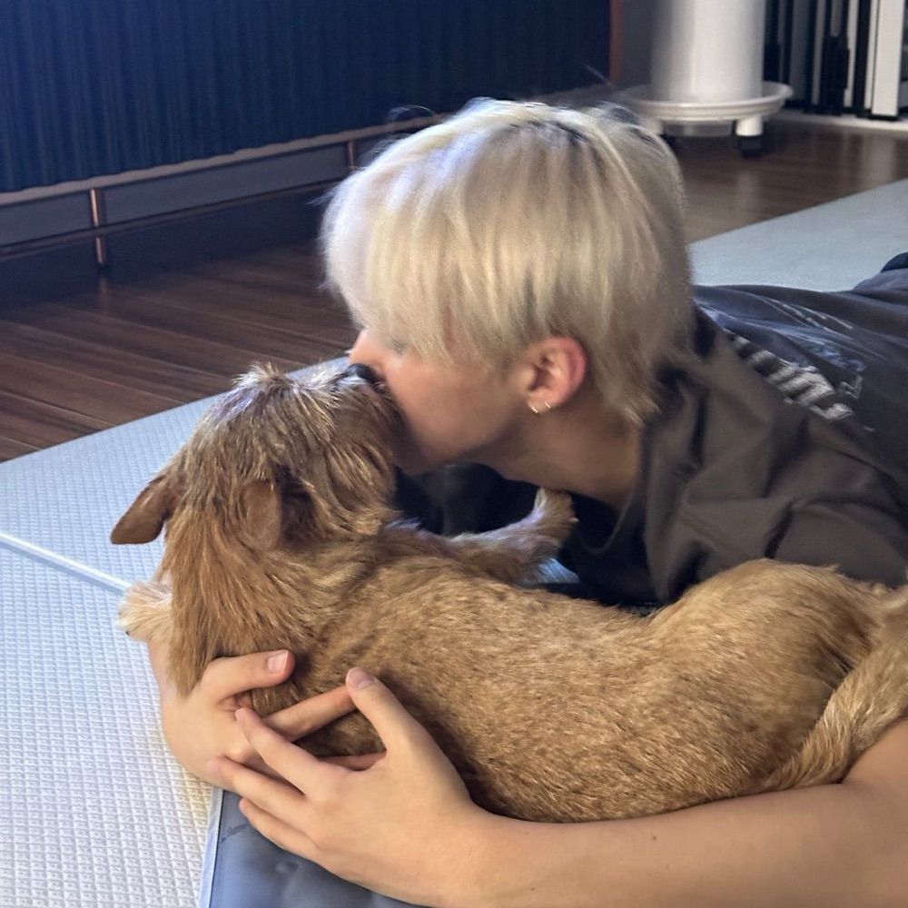 พอแอนอ ♡