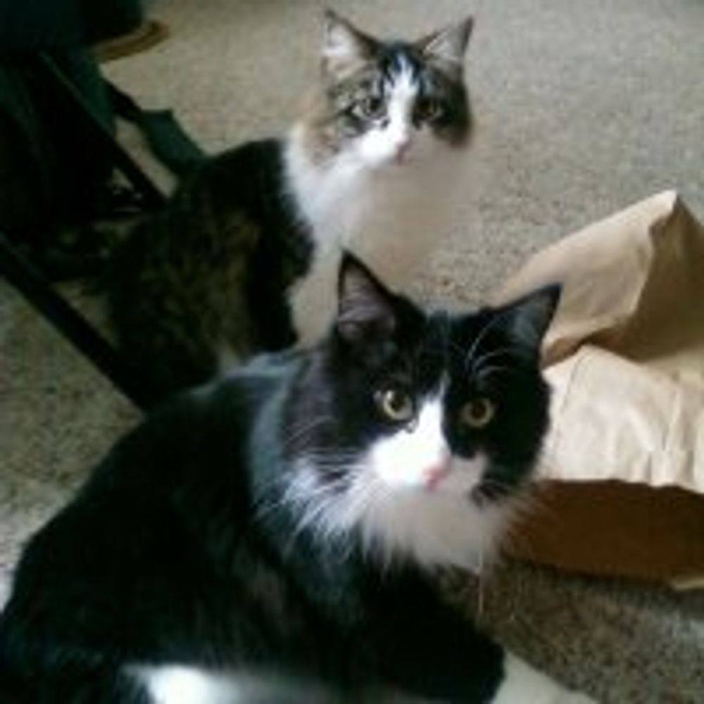 tommyandtabitha