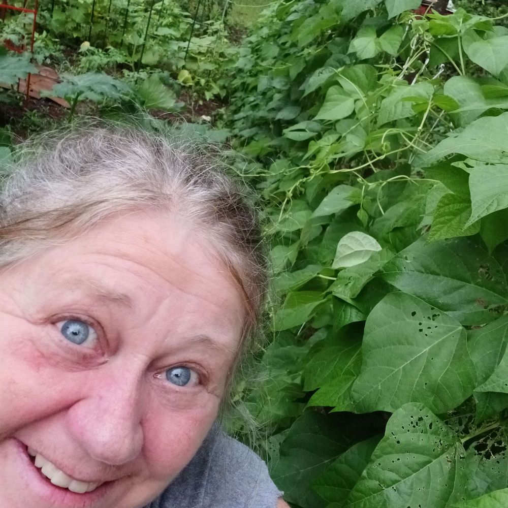 Profile picture gardeninggranny.bsky.social