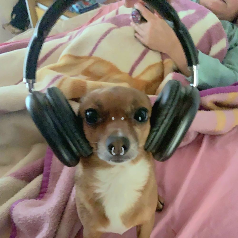 gab