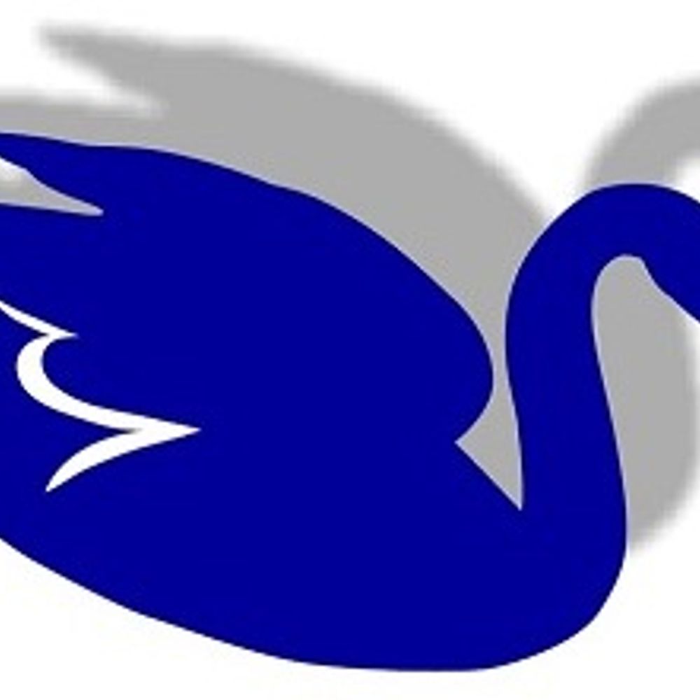 SwanShadow