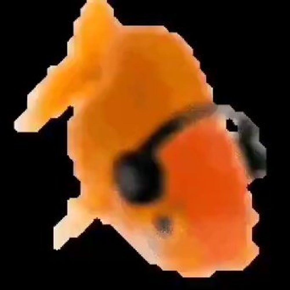 It is Funny Fish Friday