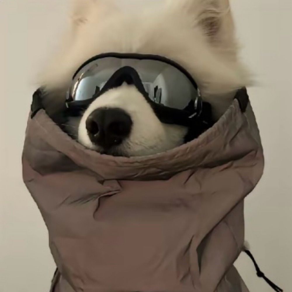Kim