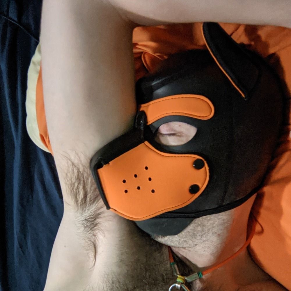 FoxyRoxy 