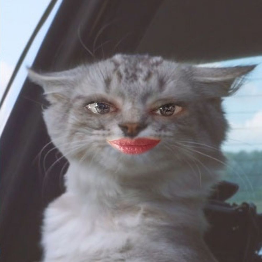 CindyCat73