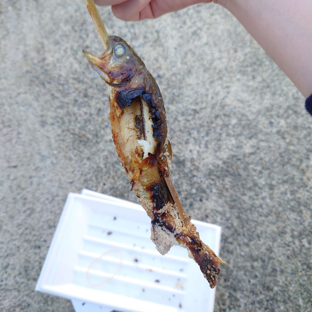 きょうの