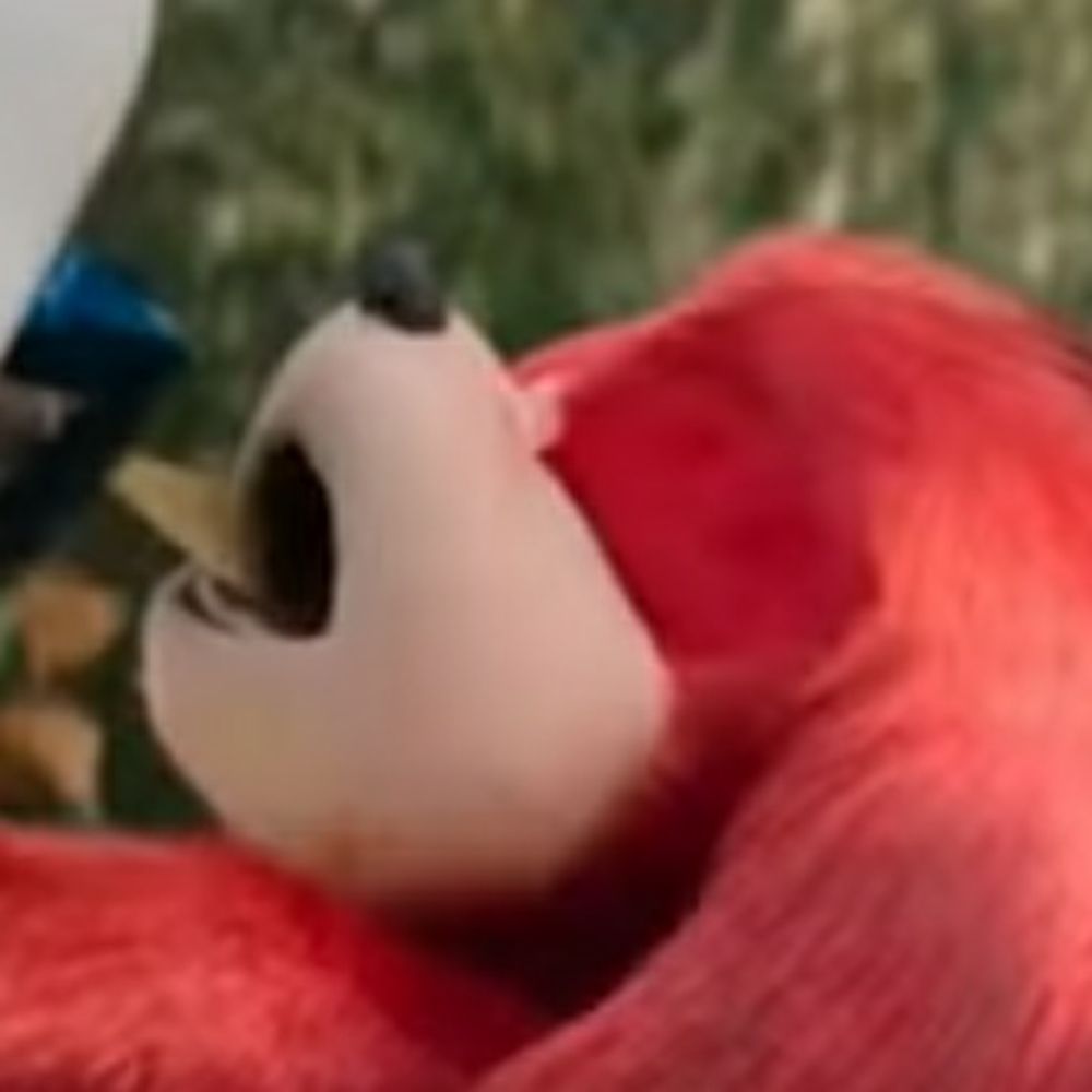 🔞 Movie Knuckles Is A Stud 🔞