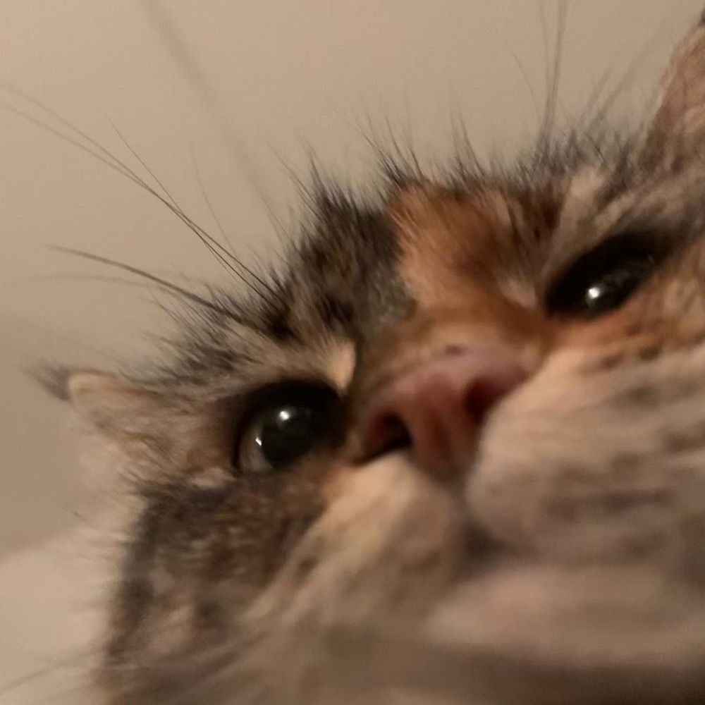 pip