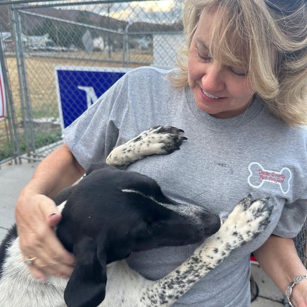 Rescue home