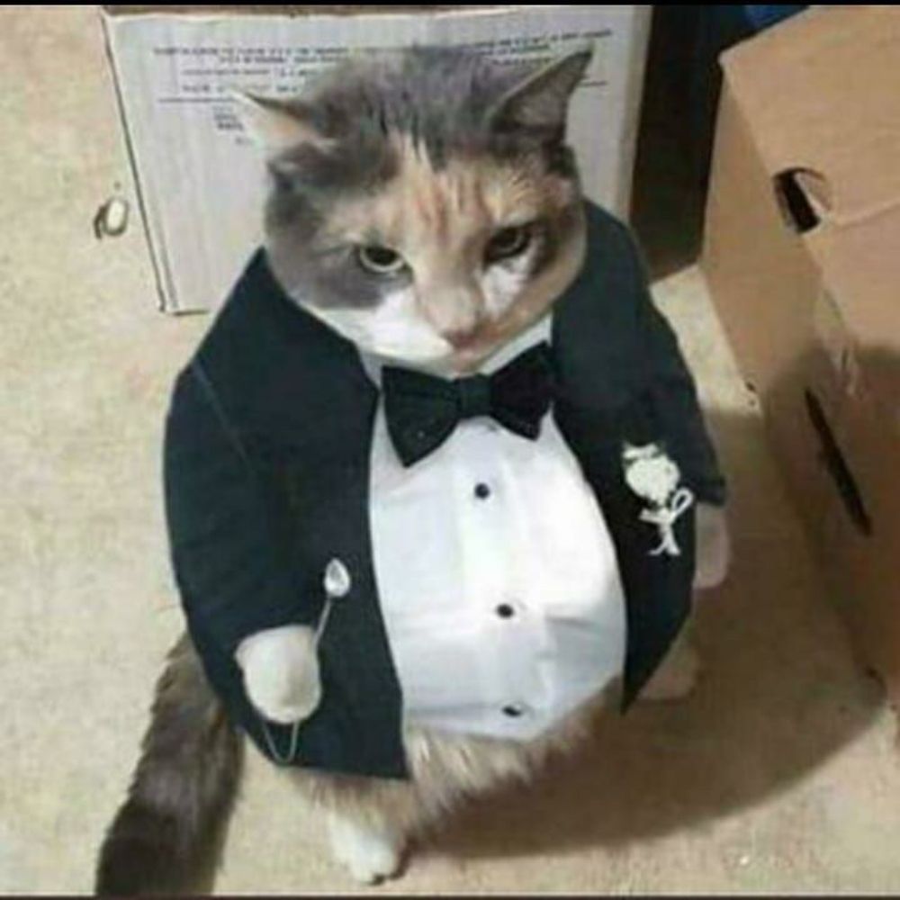 ☂