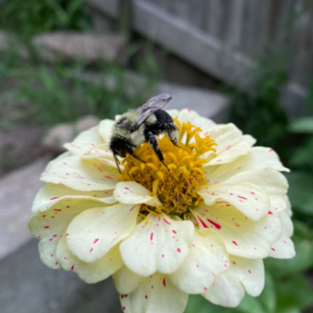 Gardening In Canada